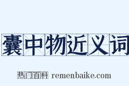 囊中物近义词是什么意思的图片